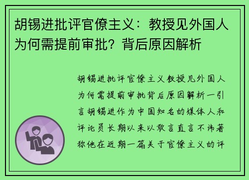 胡锡进批评官僚主义：教授见外国人为何需提前审批？背后原因解析